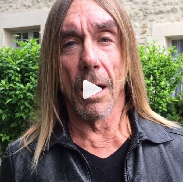 Iggy Pop a un message pour vous