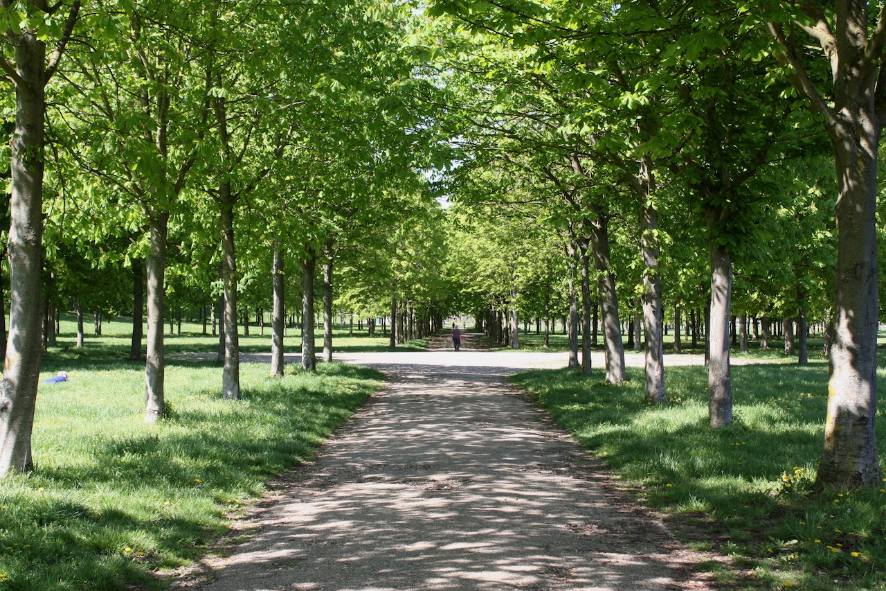 Domaine-de-Saint-Cloud-©Hélène-Haus