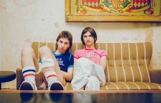 Si vous aimez The Lemon Twigs, vous aimerez...